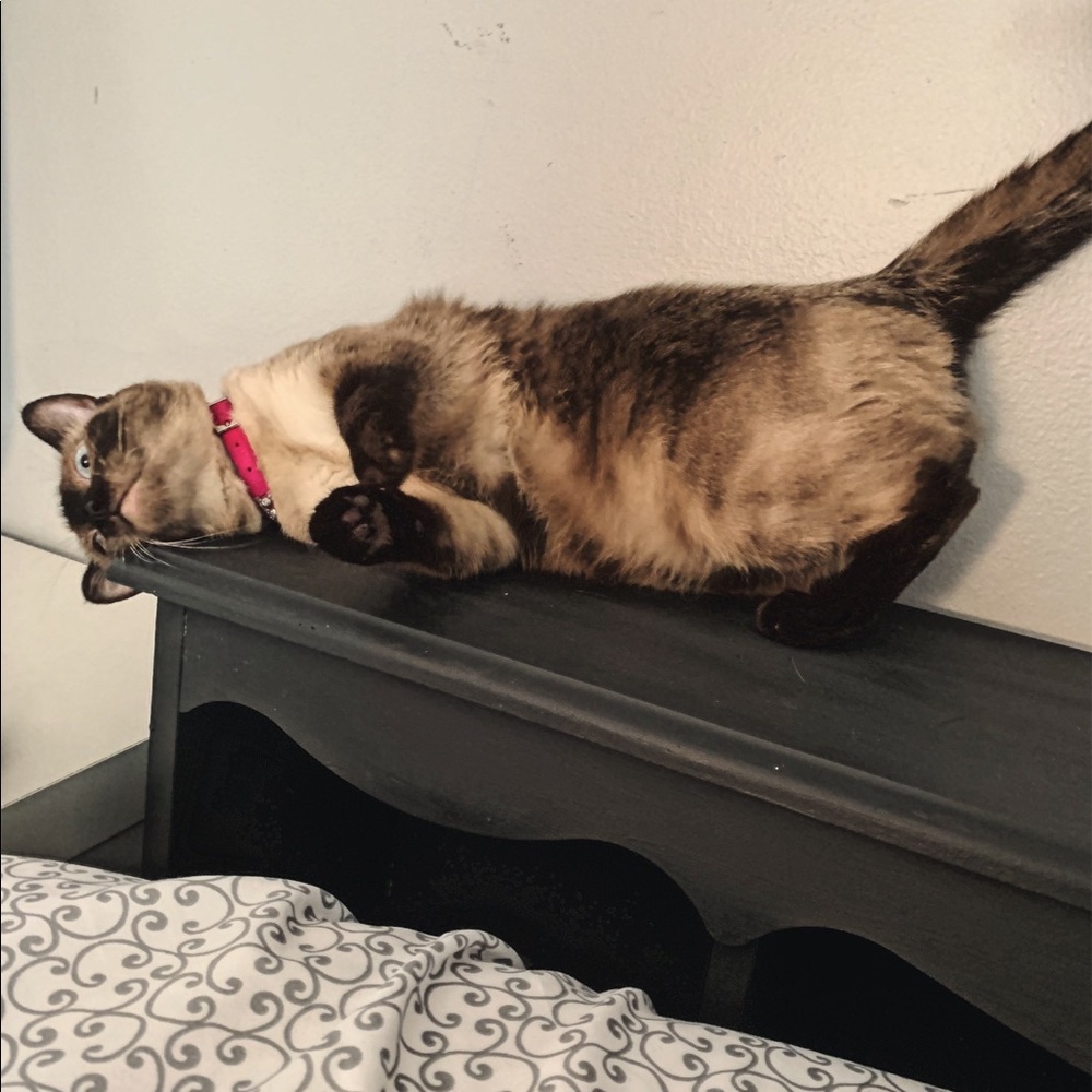 Meet your Posher, Nekharis